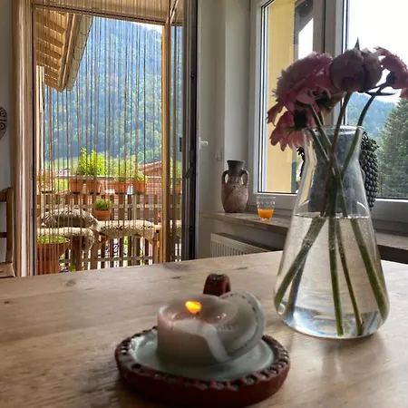 Modern Und Sonnig Wohnen Appartement *